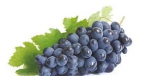 Ko gatavot no vīnogām: receptes