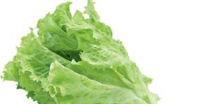 All types of leaf salads