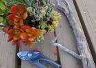 Ako si vybrať záhradné nožnice, aby záhradkárčenie nebolo záťažou